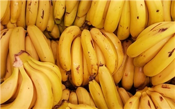 60 кг кокаина отправили в Красноярск в бананах