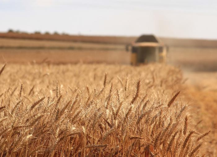Россия с 24 апреля повысит экспортную пошлину на пшеницу